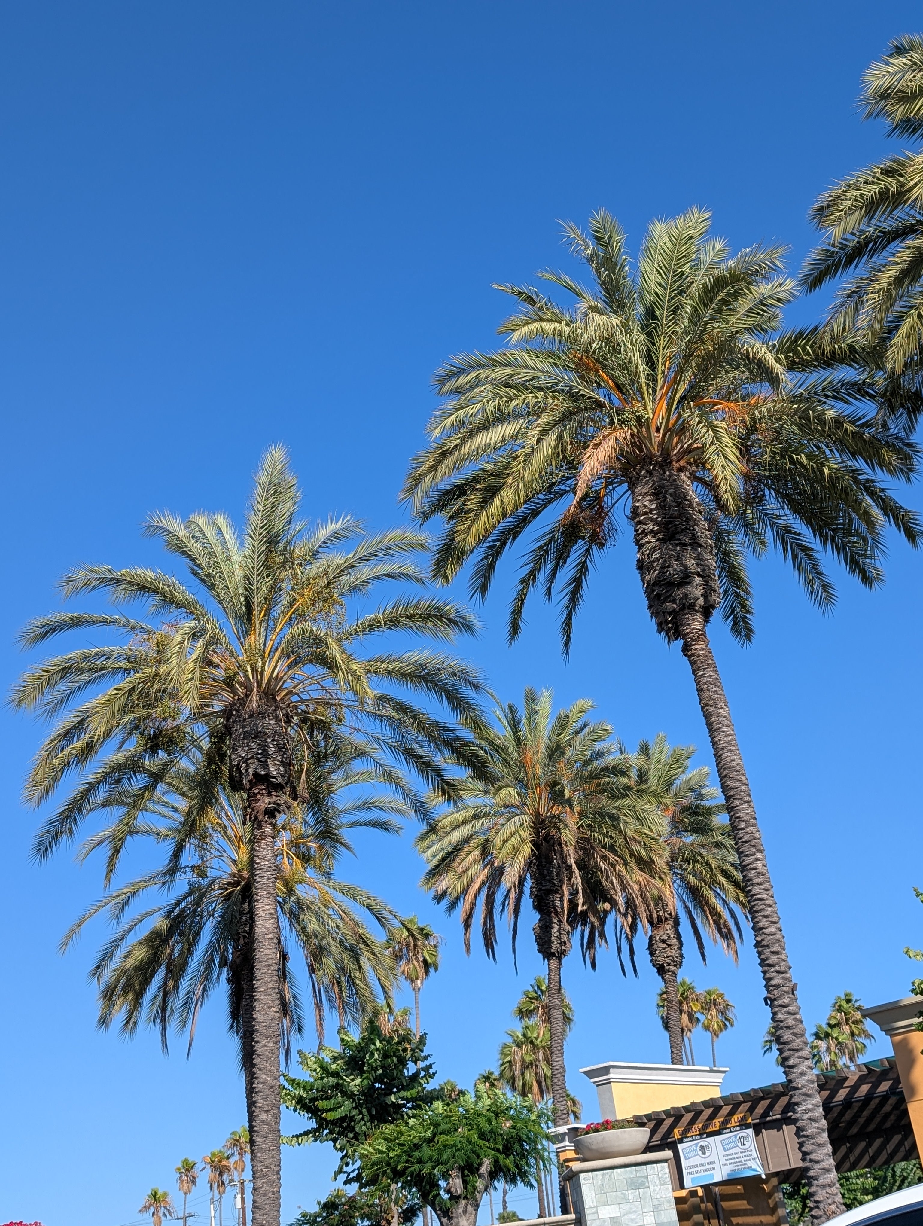 買い付け追い込み〜帰国