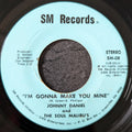 Jonny daniel and the soul malibu's -I'm gonna make you mine/Malibu theme