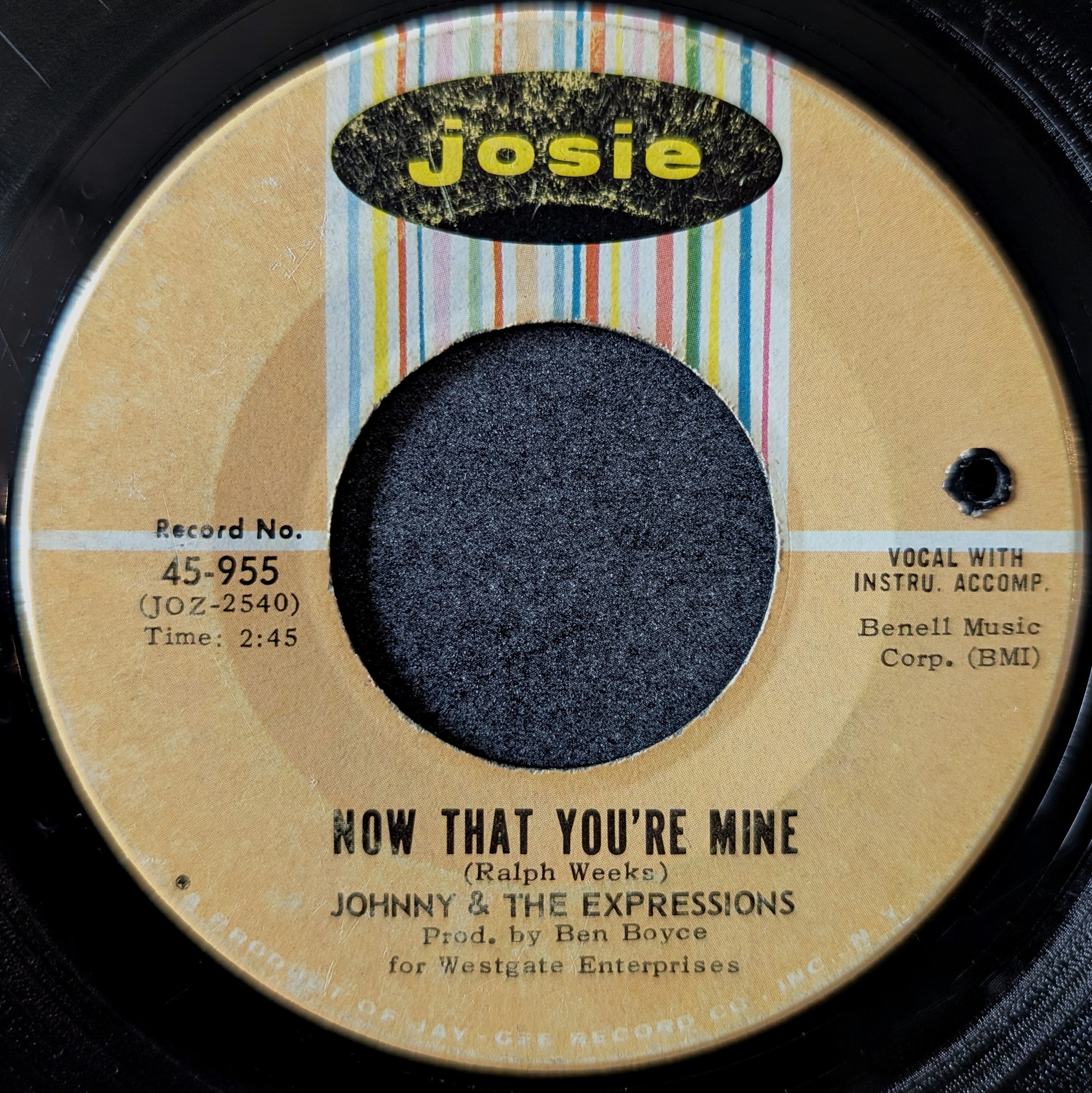 Johnny & The expressions-Now that you're mine/Shy Girl