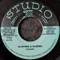 The Gaylads-Slipping and Sliding/Boogaloo