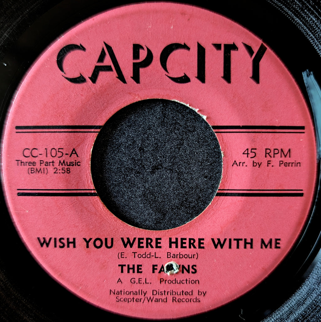 The Fawns-Wish you were here with me/Nothing but love can save me