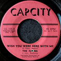 The Fawns-Wish you were here with me/Nothing but love can save me