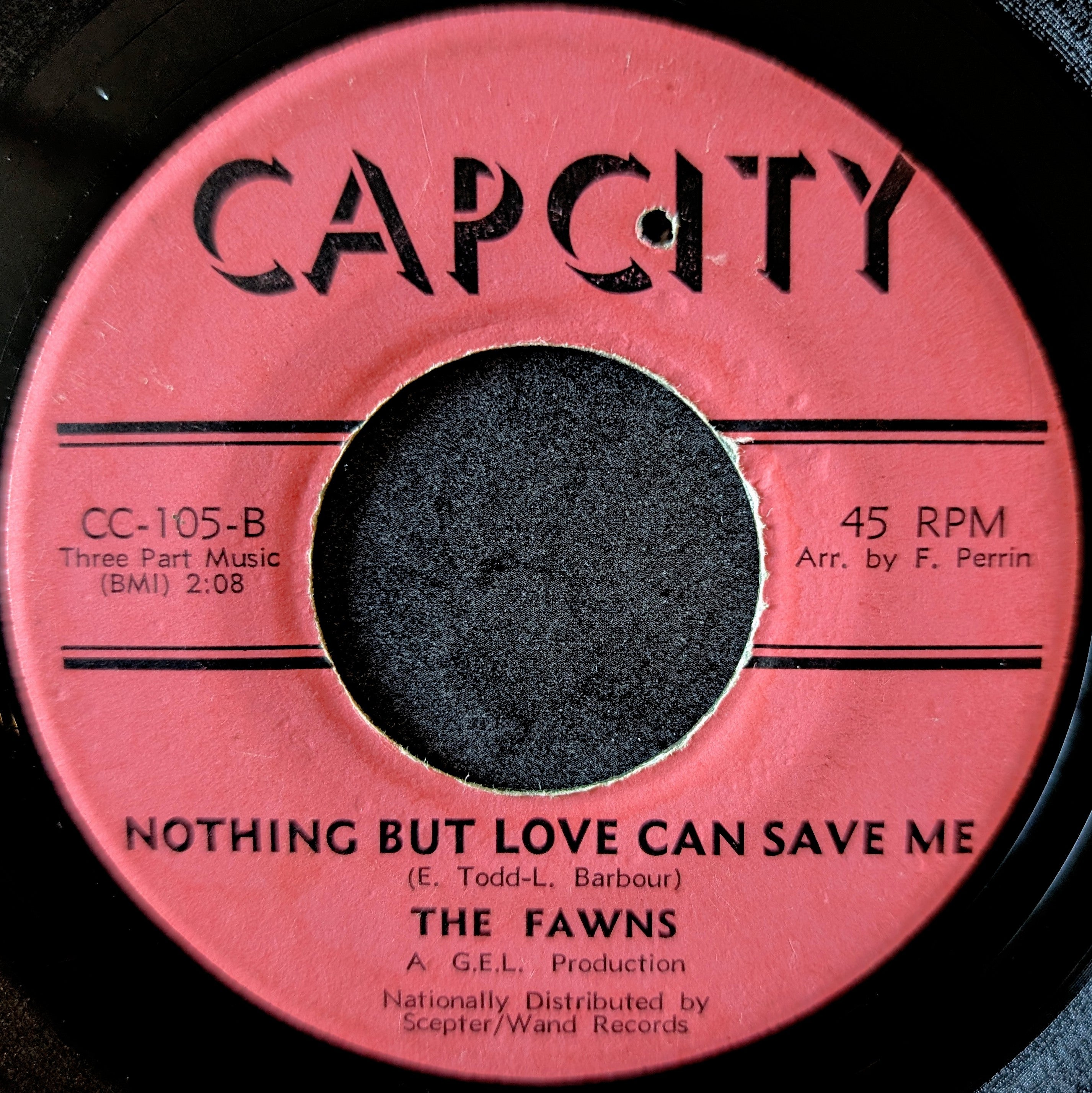 The Fawns-Wish you were here with me/Nothing but love can save me