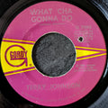 Terry Johnson - What'cha gonna do / Suzie