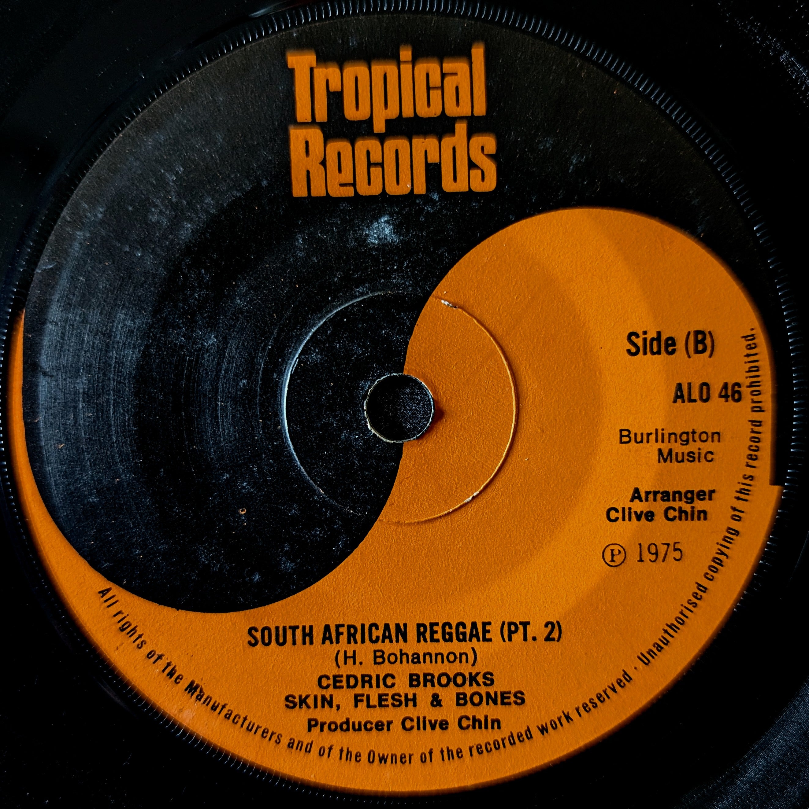 Cedric Brooks & Skin Flesh & Bones-South African Reggae Part 1/South African Reggae Part 2