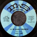 Louis Curry - I'll try again tomorrow / A toast to you