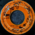 The Invincibles-Heat full of love/I'll come crawlin' to you
