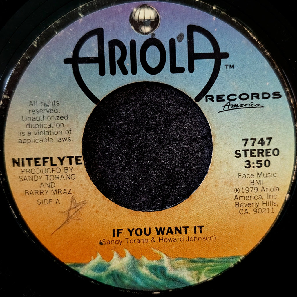 Niteflyte-If you want it/ I wonder(If I'm falling in love again)