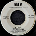 The Precisions-A place/ Never let her go