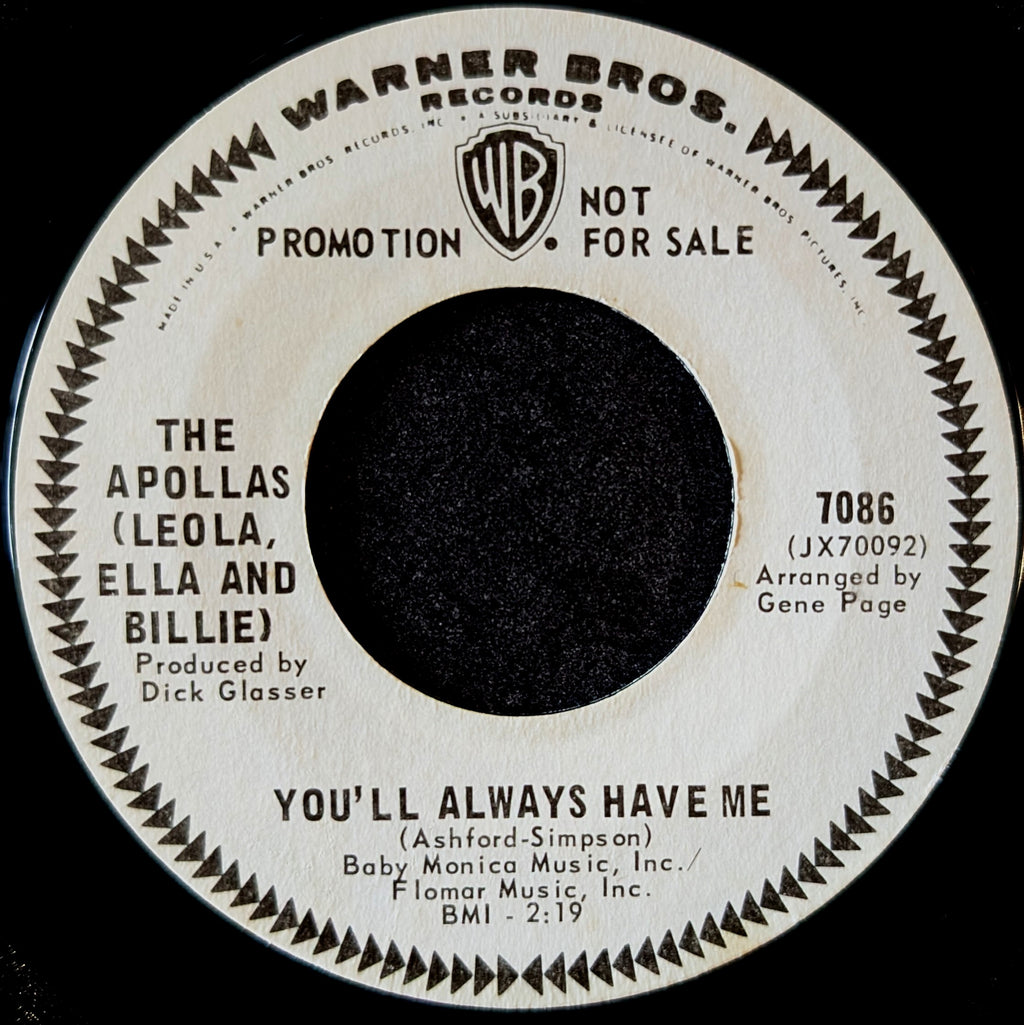 The Apollas-Who would want me now/ You'll always have me