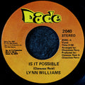 Lynn williams-Is it possible/ Theme for vanilla