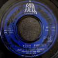 James & Bobby Purify - I'm Your Puppet / So Many Reasons