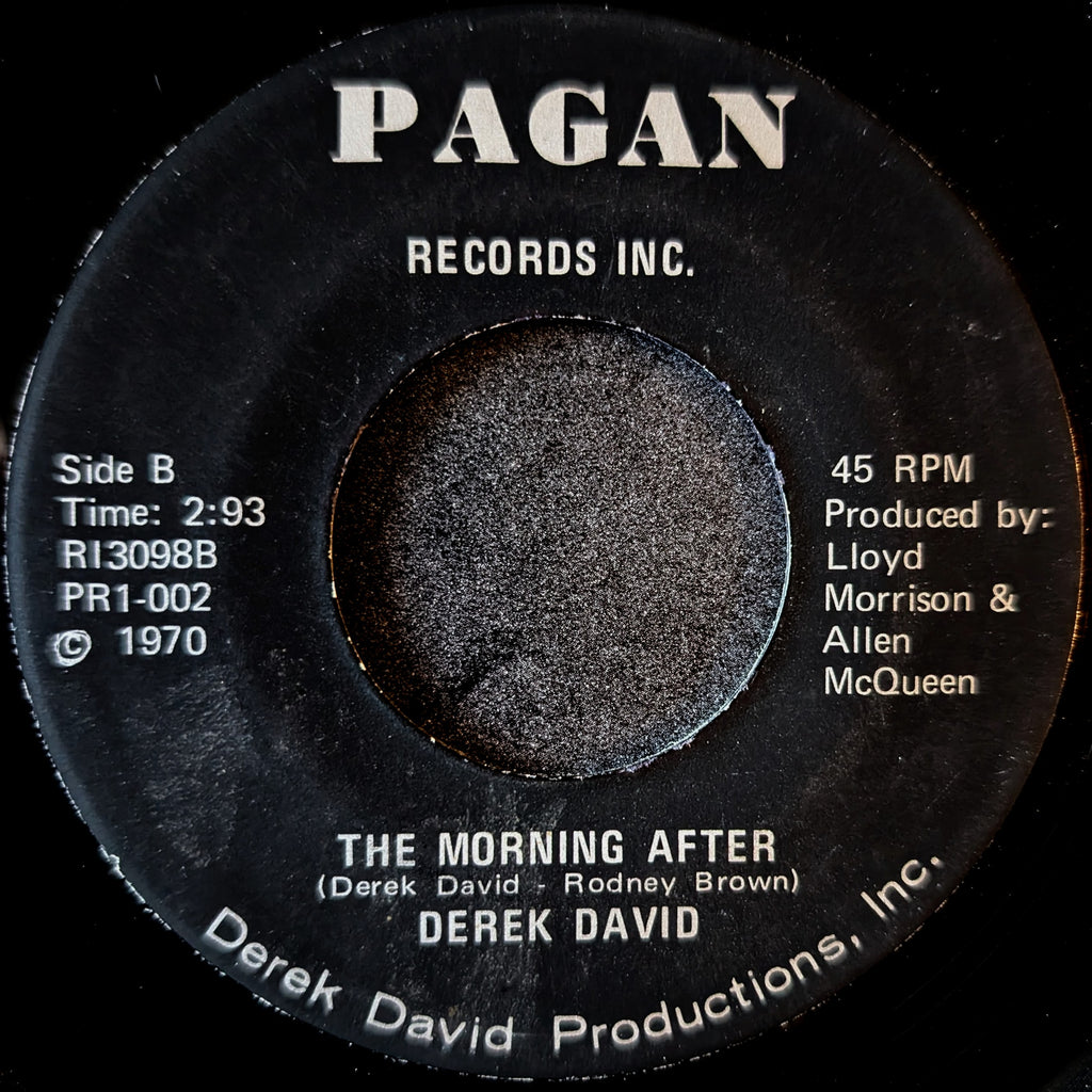Derek David-The winter of our love/The Morning after