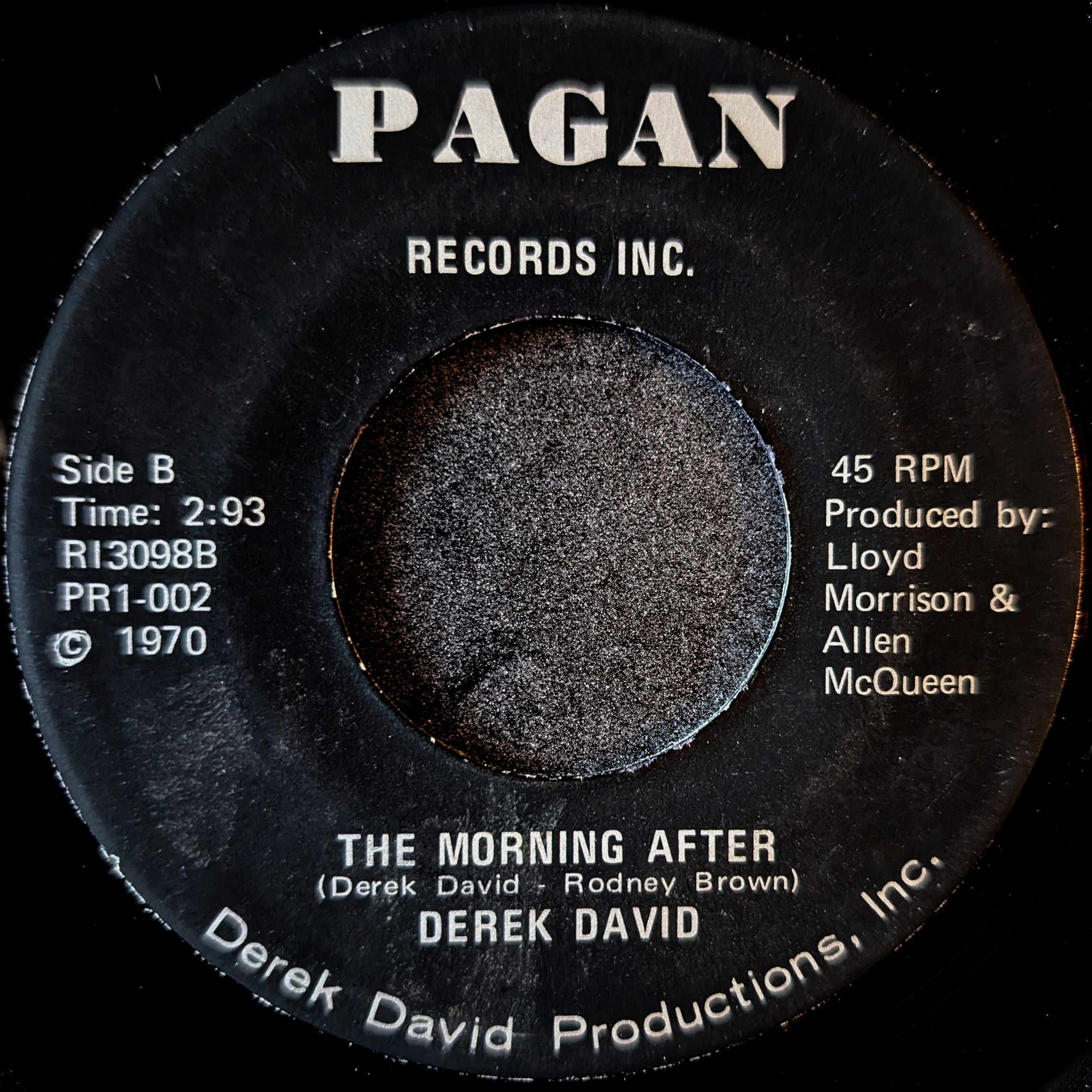 Derek David-The winter of our love/The Morning after
