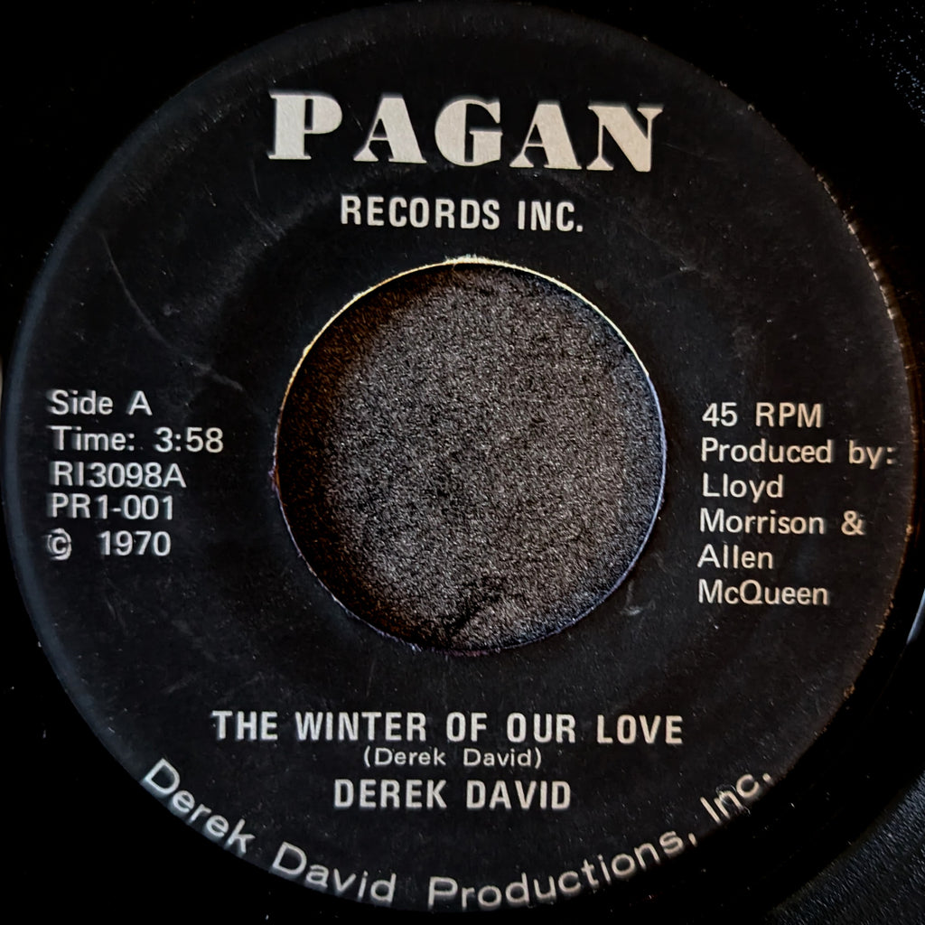 Derek David-The winter of our love/The Morning after