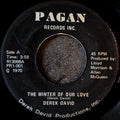Derek David-The winter of our love/The Morning after