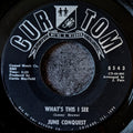 June Conquest-What’s this I see/ No one else