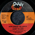 Bobby Wilson - Here is where the love is / Anything (That you want)