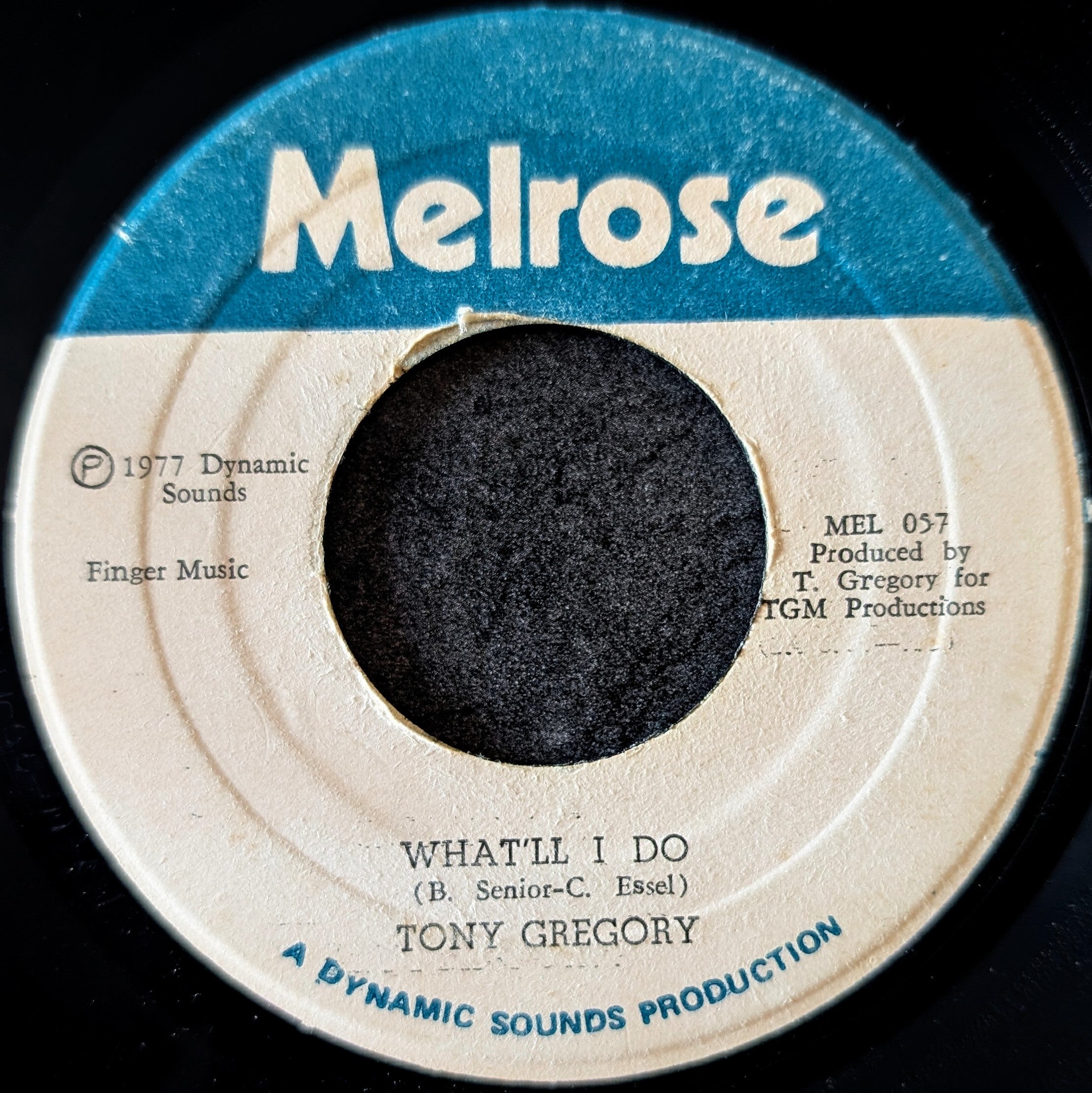 Tony Gregory-What'll I do/I will be your friend