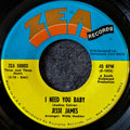 Jesse James-I need you baby/Home at last
