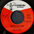 The Topics - She's So Fine / I Don't Have to Cry