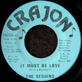 The Sequins-It must be love/You flunked out