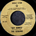 The Sequins-Hey Romeo/I've got to overcome
