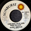 Roshell Anderson-Jesse Boone & The Astros-Know what you're doing when you leave/No particular one