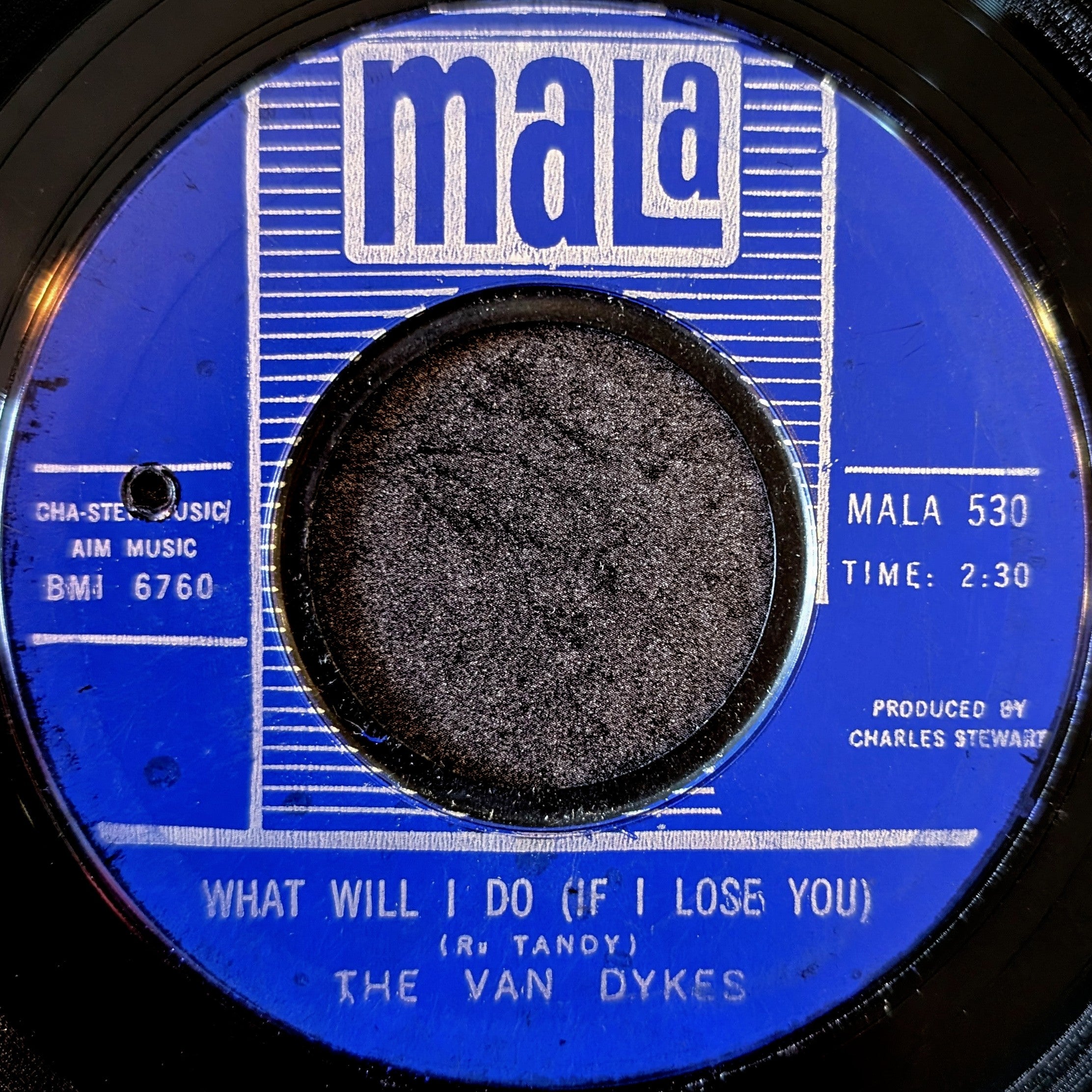 The Van Dykes-I've got to go on without you/What will I do(If I lose you)