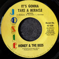 Honey & The Bees-It's gonna take a miracle(Medley)/What about me
