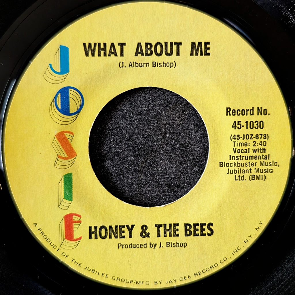 Honey & The Bees-It's gonna take a miracle(Medley)/What about me