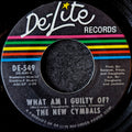 The New Cymbals-What am I guilty of?/L.C.Funk