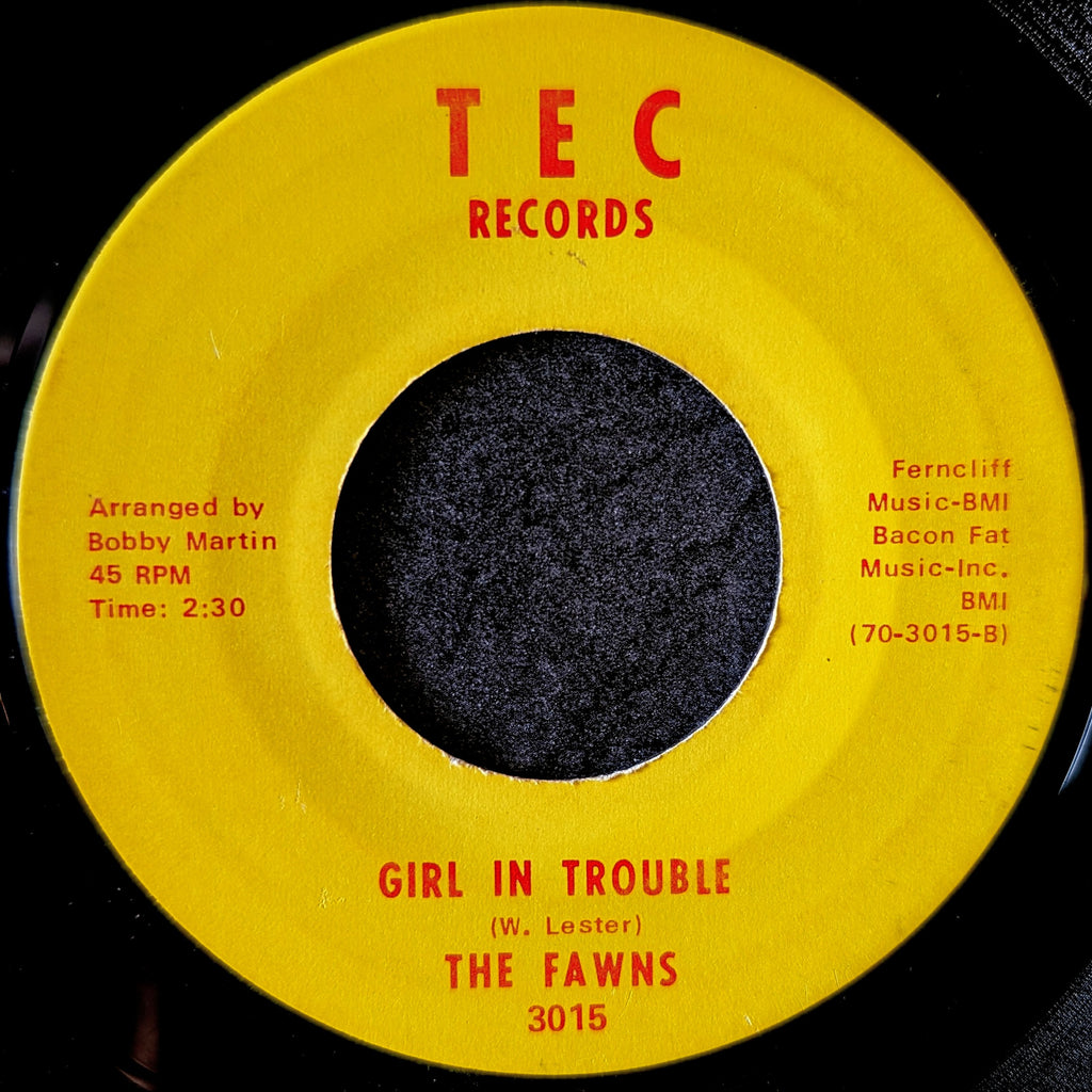 The Fawns-Bless you/Girl in Trouble