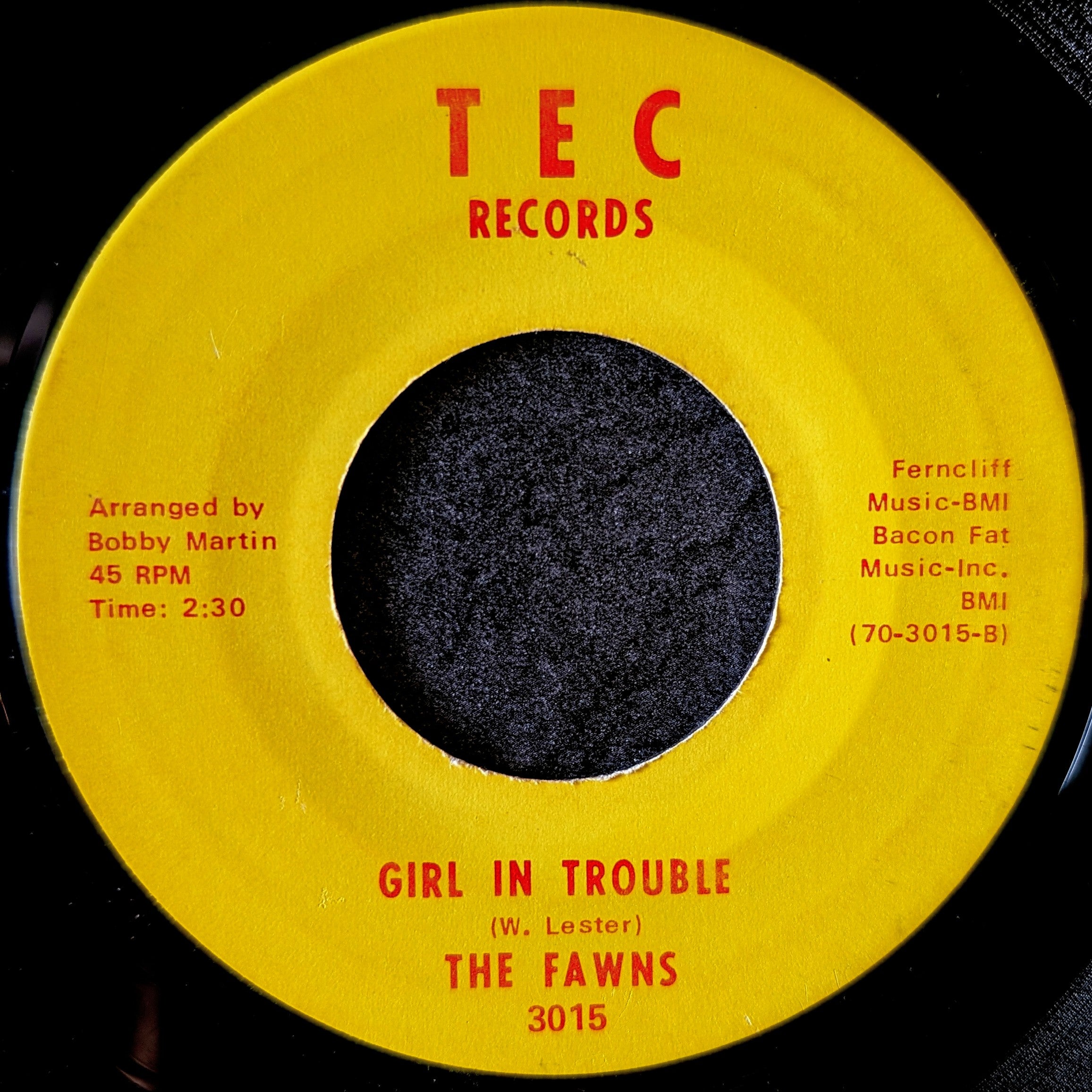 The Fawns-Bless you/Girl in Trouble