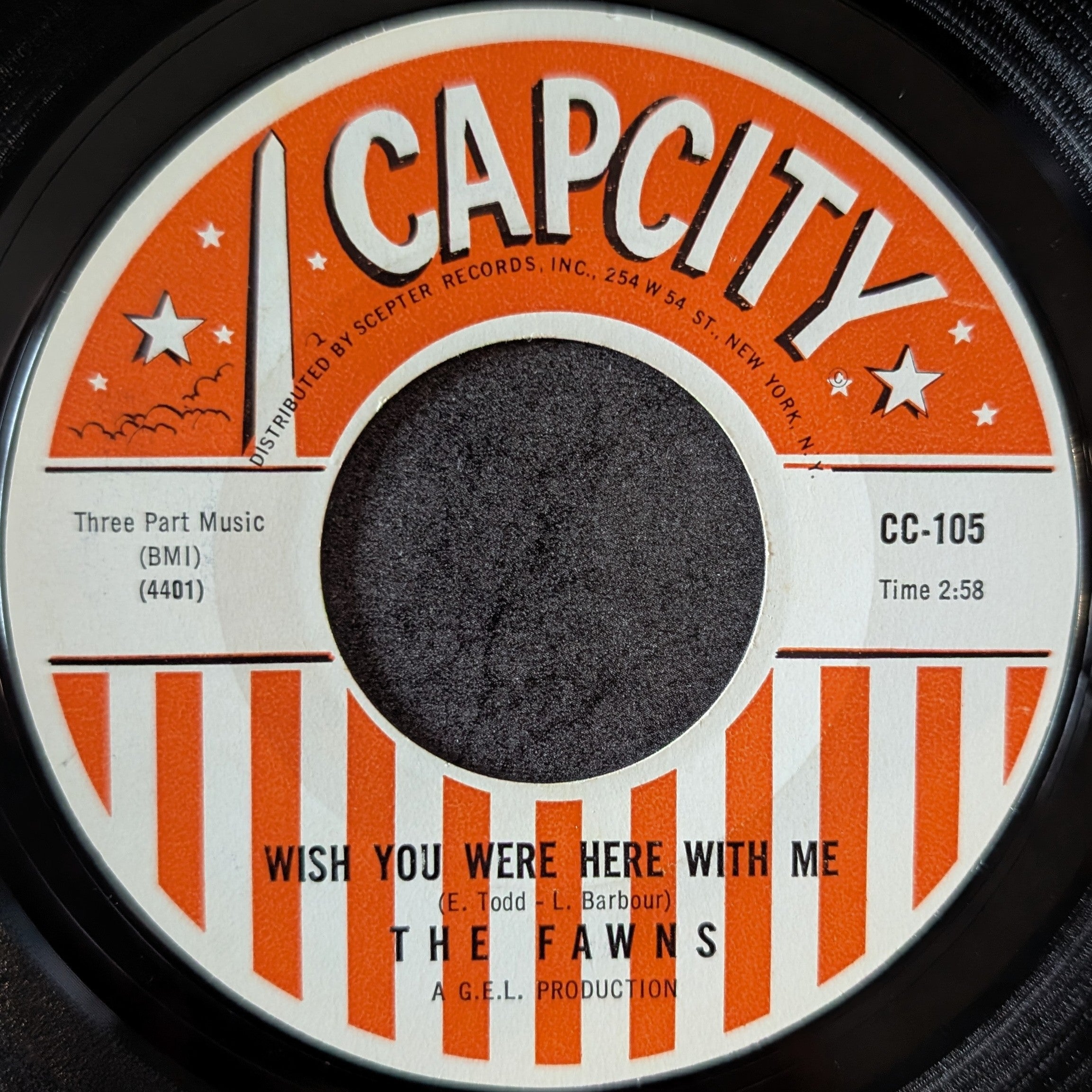 The Fawns-Wish you were here with me/ Nothing but love can save me
