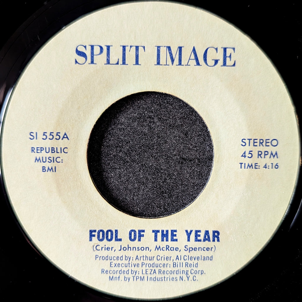 Split Image-Fool of the year/Fool for the year