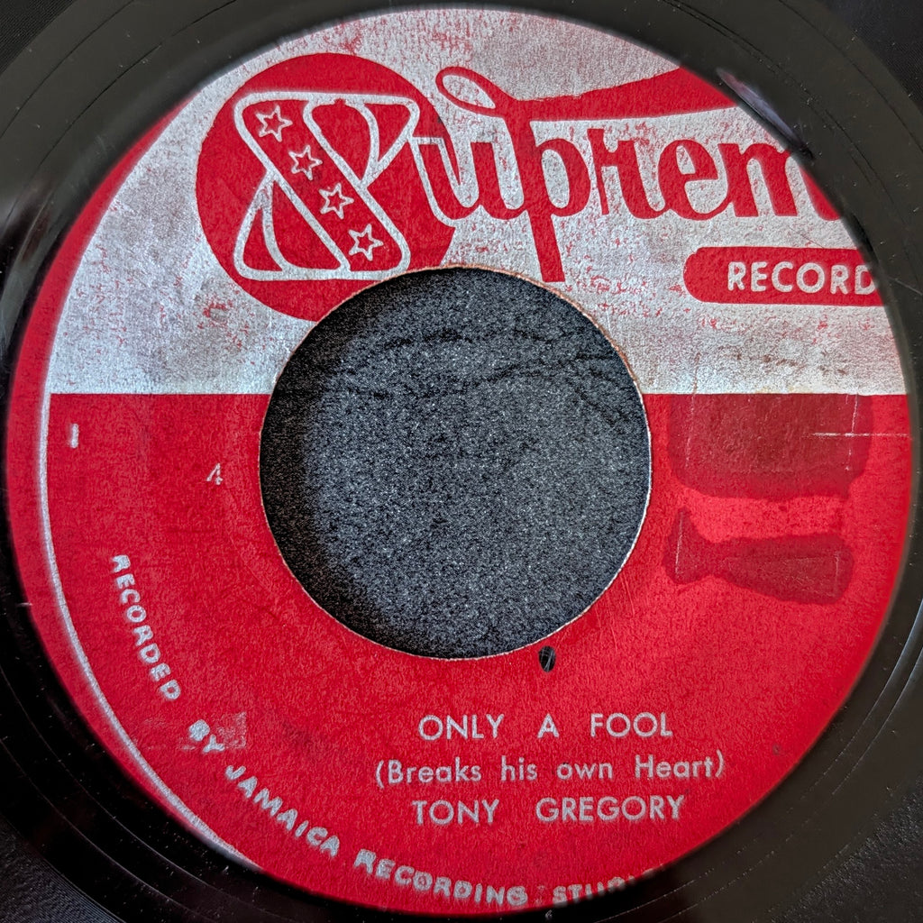 Tony Gregory-Only a fool/Pure soul