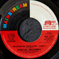 Special delivery-I destroyed your love Part 1/ I destroyed your love Part 2