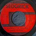 Bobby McClure-Never let you get away/ Have a little mercy