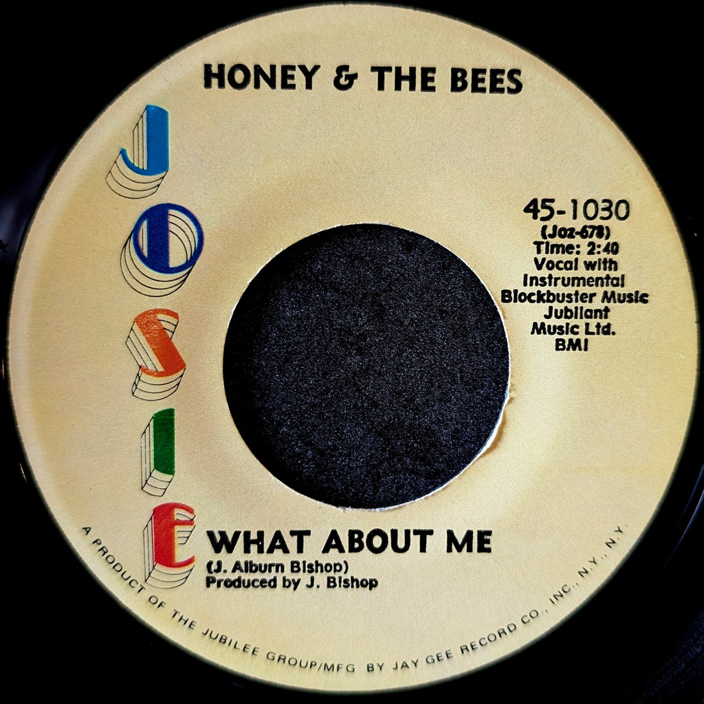 Honey & The Bees-It's gonna take a miracle(Medley)/What about me